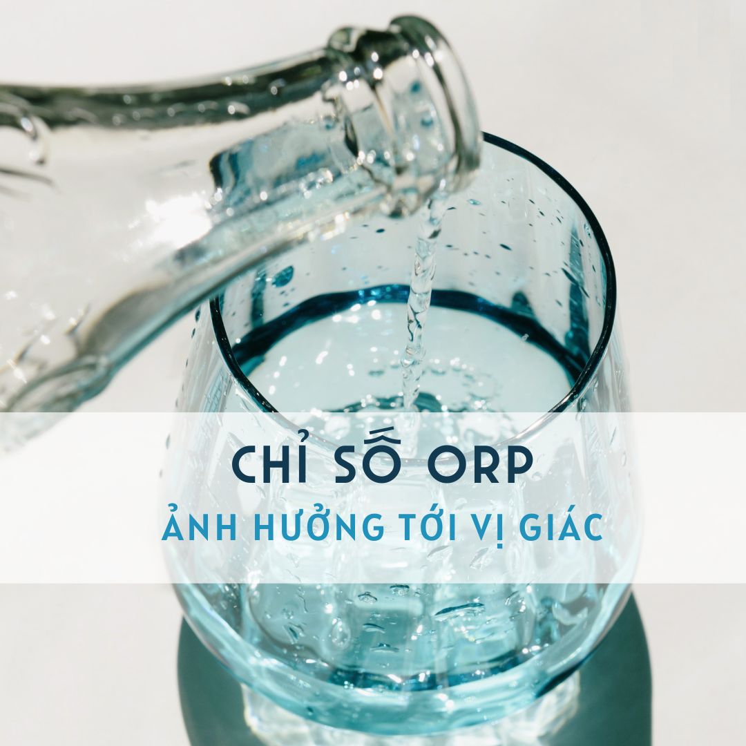 Chỉ số ORP có ảnh hưởng tới vị giác